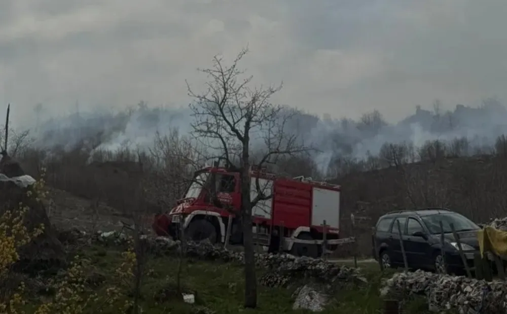 Cetinjski vatrogasci na terenu: Požar gori u Lastvi Čevskoj