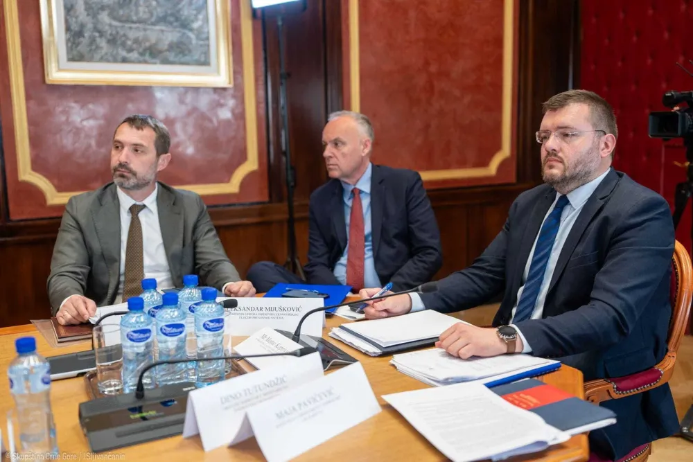 Koprivica: Milo je znao za milionski ugovor za VE "Možura" koji je sklopio Čelebić
