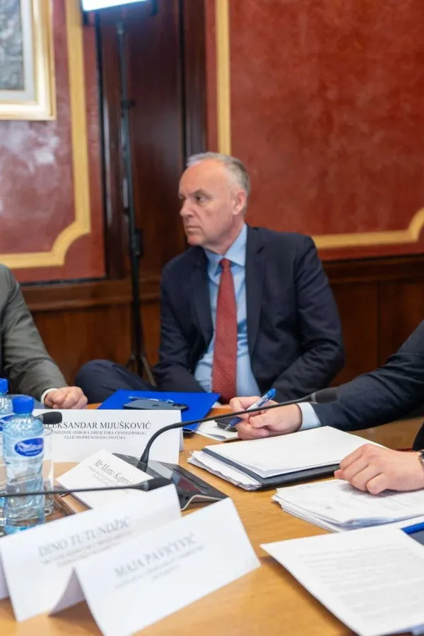 Koprivica: Milo je znao za milionski ugovor za VE "Možura" koji je sklopio Čelebić