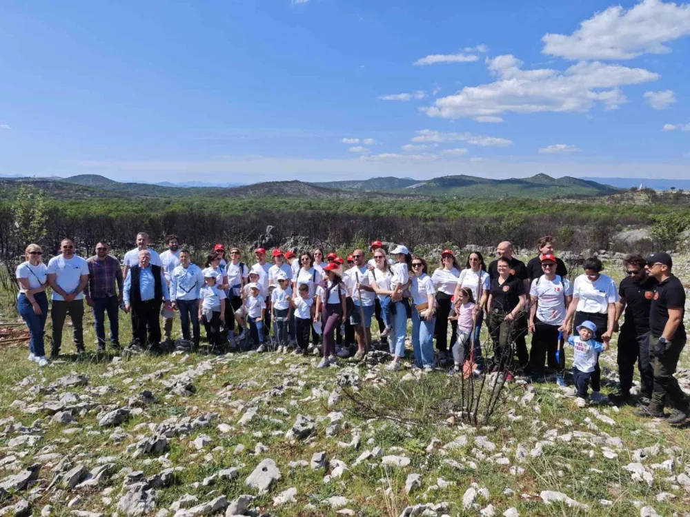 U sklopu akcije &ldquo;Zelena obnova Crne Gore&rdquo; zasađeno preko 60 sadnica drveća