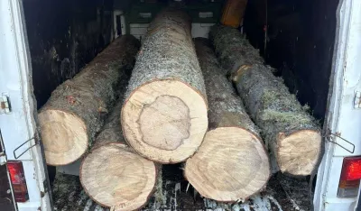 Krivična prijava Berancu zbog &scaron;umske krađe