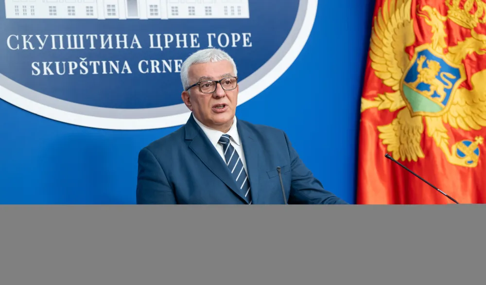 Mandić: Formiranje radne grupe za Ugovor o pristupanju potvrda stabilnosti i odlučnosti parlamentarne većine