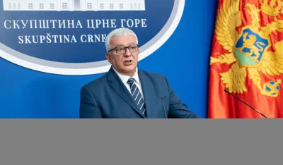 Mandić: Formiranje radne grupe za Ugovor o pristupanju potvrda stabilnosti i odlučnosti parlamentarne većine