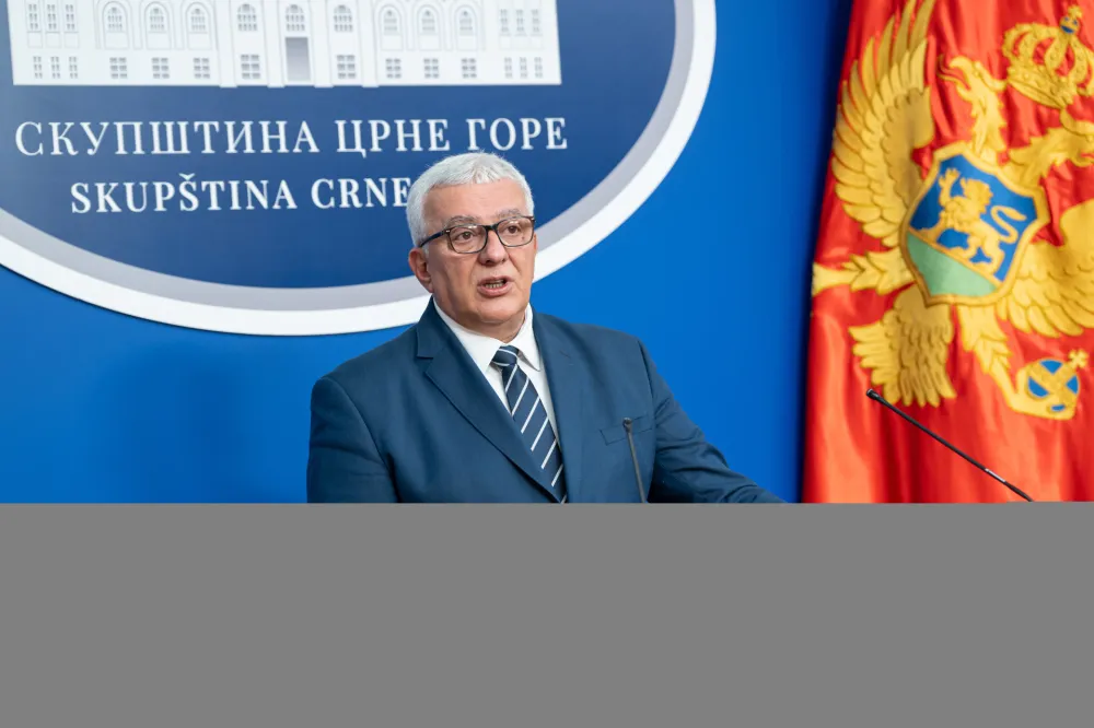 Mandić: Formiranje radne grupe za Ugovor o pristupanju potvrda stabilnosti i odlučnosti parlamentarne većine