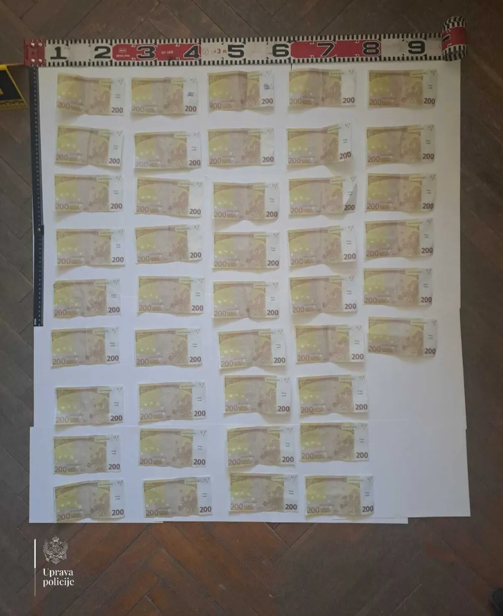Majka i sin falsifikovali novac