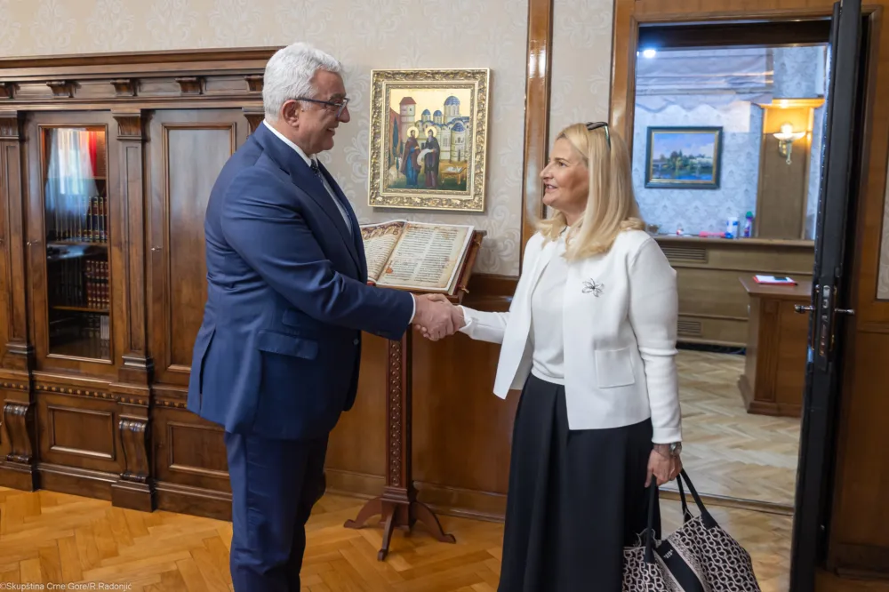 Mi&scaron;čević: Parlament ostaje ključna institucija demokratskog sistema