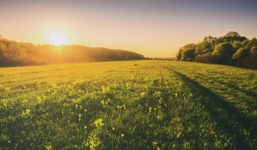 (VIDEO) Sjutra pretežno sunčano, temperatura do 27 stepeni
