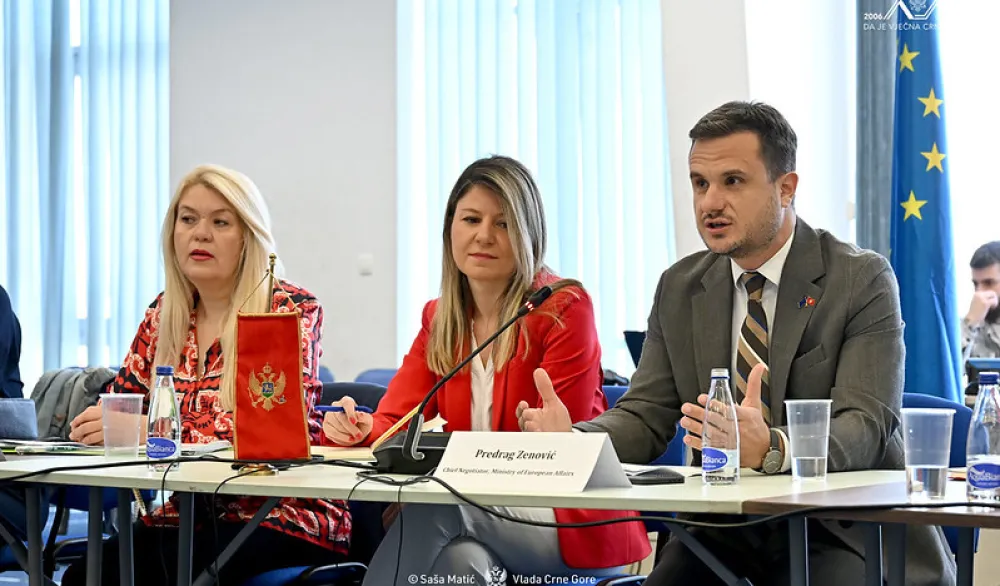Zenović na Pododboru: Posvećenim radom i mjerljivim rezultatima zatvaramo sva poglavlja do kraja godine
