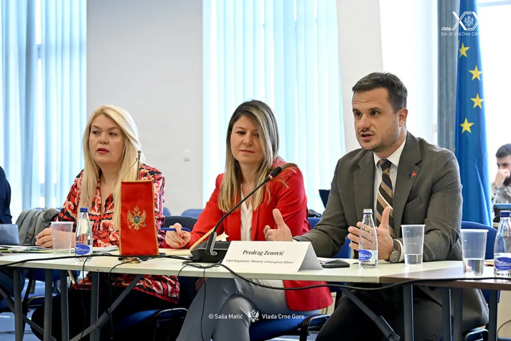Zenović na Pododboru: Posvećenim radom i mjerljivim rezultatima zatvaramo sva poglavlja do kraja godine