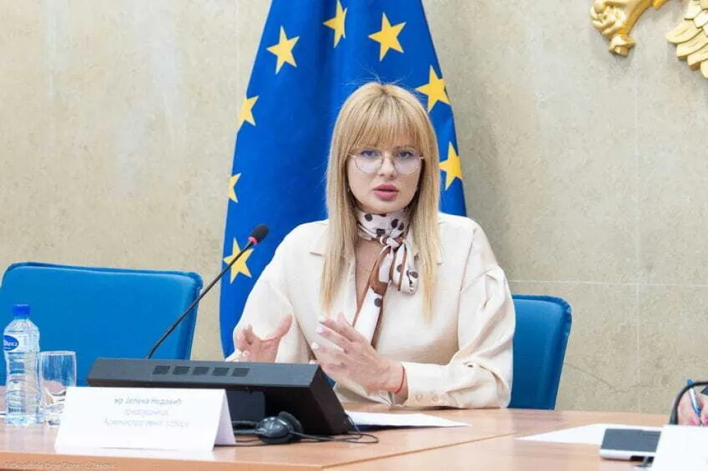 Poslanica Nedović ponovo se bavila medijima: Novinari trn u oku