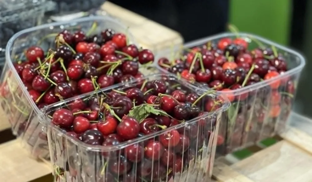 (VIDEO) Dječji dodatak za tri kilograma voća