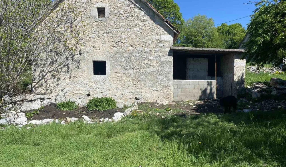 Staja ispred koje je usmrćen pas