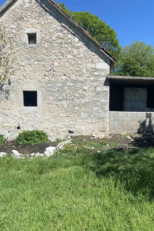 Staja ispred koje je usmrćen pas