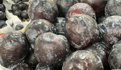 &Scaron;ljive iz Grčke &scaron;est eura
