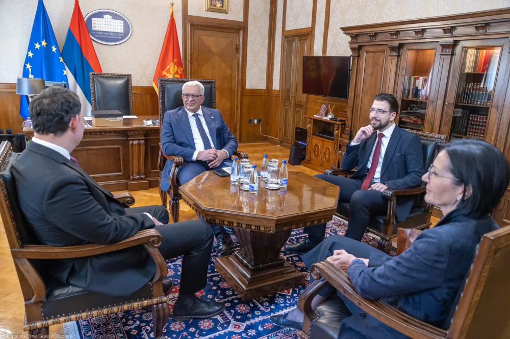 Mandić: Crna Gora posebno cijeni podr&scaron;ku Republike Slovenije