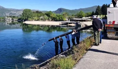 U nik&scaron;ićka jezera ubačene dvije i po tone ribe