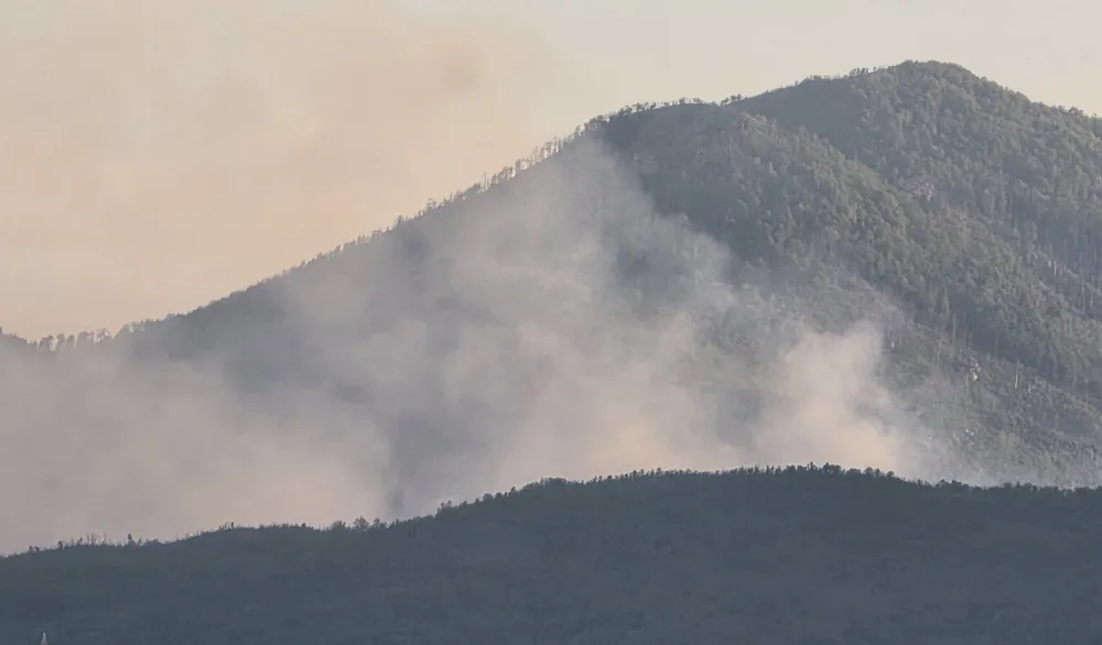 (VIDEO) Treći dan gori nik&scaron;ićko selo Brestice: Mje&scaron;tani brane kuće, traže reakciju države