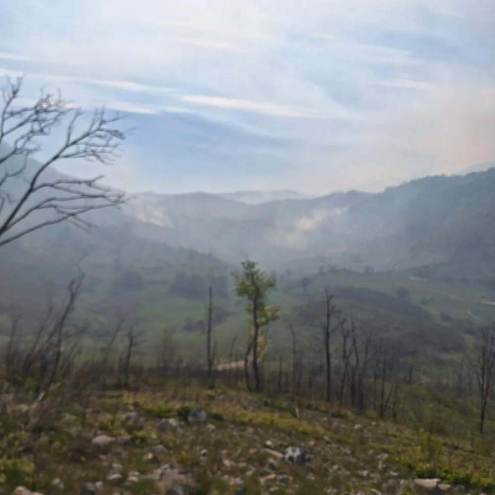 Treći dan gori nik&scaron;ićko selo Brestice: Mje&scaron;tani brane kuće, traže reakciju države