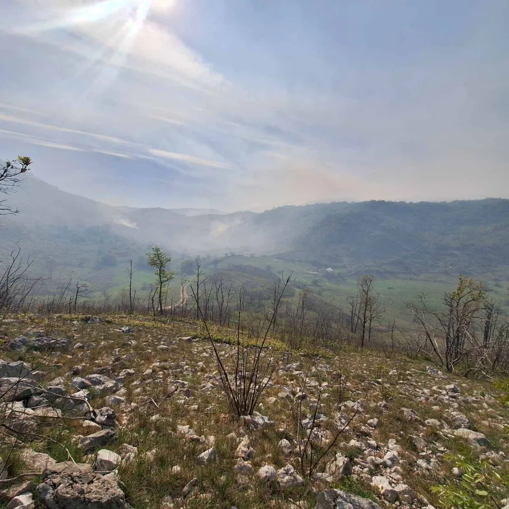Treći dan gori nik&scaron;ićko selo Brestice: Mje&scaron;tani brane kuće, traže reakciju države