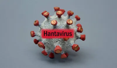 Batut: U Srbiji za deset godina 127 slučajeva hаntаvirusne infеkciјe