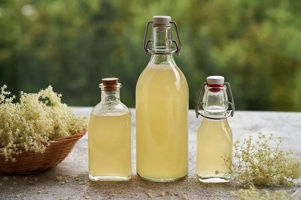 NNapravite sirup od zove koji će vas osvježavati cijelo ljeto