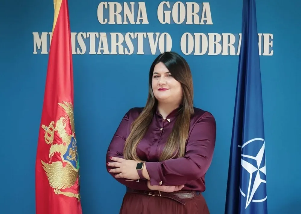 Radević: Zirojević da objasni javnosti iz kojih pobuda radi protiv evropskog puta na&scaron;e države