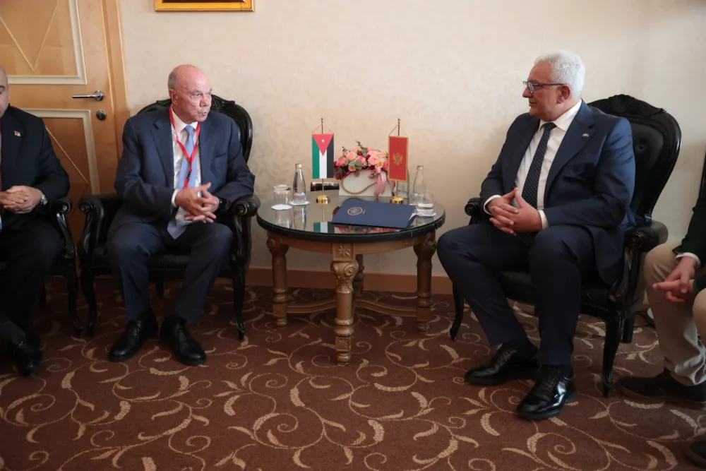 Mandić: Kroz međunarodne organizacije poput PAM-a graditi bilateralne i multilateralne odnose