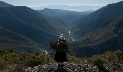 Savremene umjetničke prakse i istorijsko nasljeđe fotografije