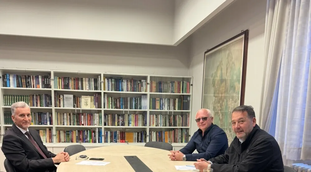 saradnja bo&scaron;njačkih vijeća i institucija