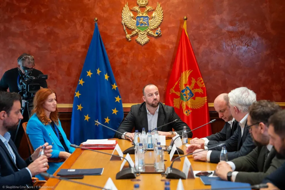 Stvaraju se novi Anketni odbori, a postojeći ne nastavlja sa radom: Izgubili volju kad je Milo odbio da svjedoči