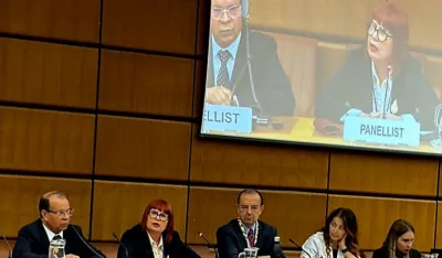 Pavličić na sastanku UN u Beču predstavila reforme Crne Gore u borbi protiv zloupotrebe vatrenog oružja