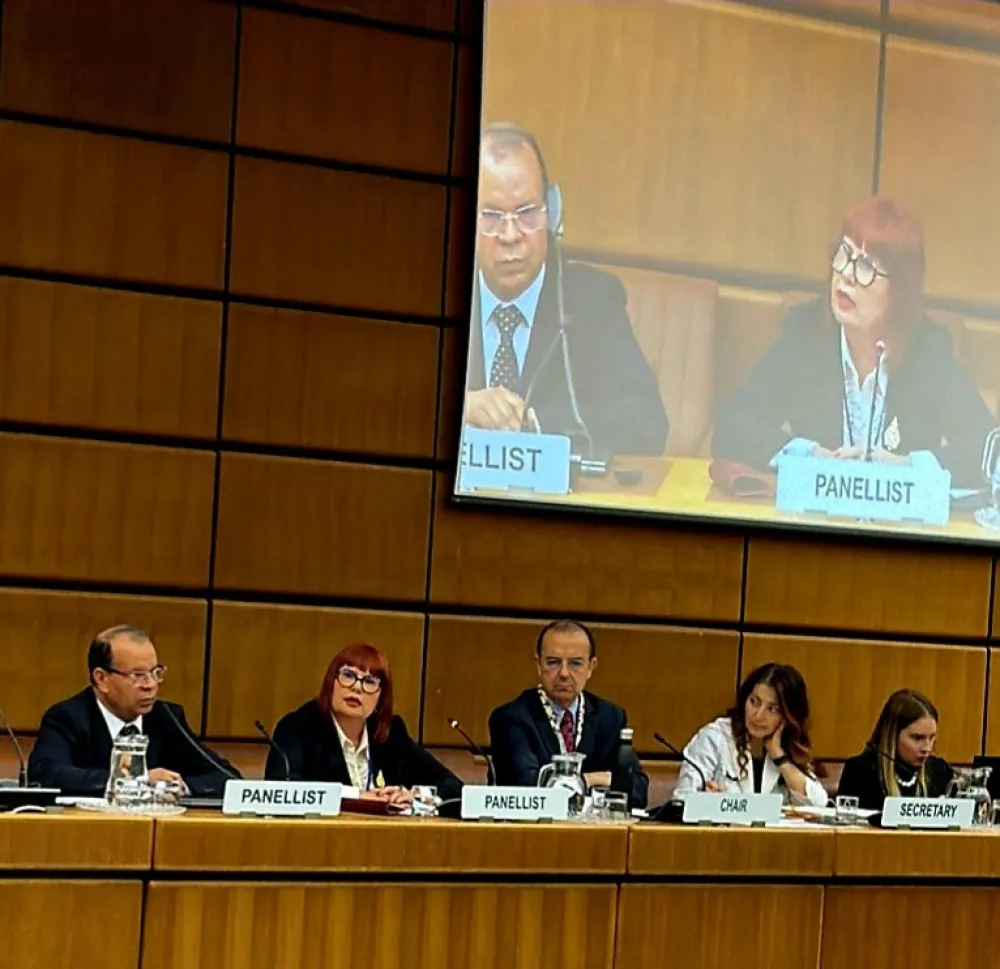 Pavličić na sastanku UN u Beču predstavila reforme Crne Gore u borbi protiv zloupotrebe vatrenog oružja