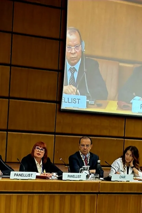 Pavličić na sastanku UN u Beču predstavila reforme Crne Gore u borbi protiv zloupotrebe vatrenog oružja