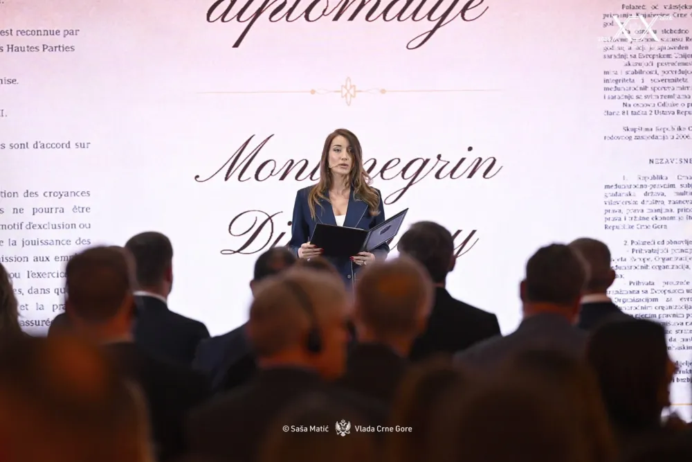 Ibrahimović: Čuvajući građansku Crnu Goru čuvamo njenu su&scaron;tinu