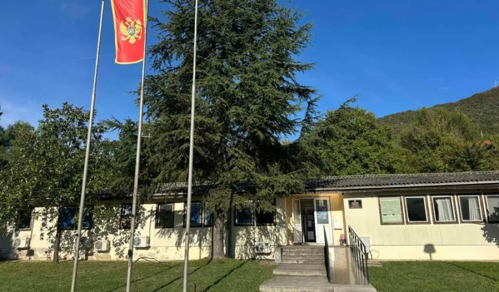 Albanski državljanin osumnjičen da je zapalio sopstveno vozilo u Tivtu