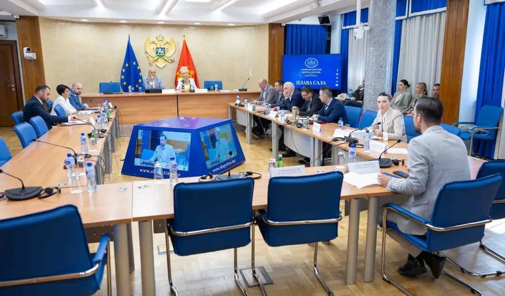 Odgođena sjednica Odbora, nijesu do&scaron;li Krapović i predstavnici većine