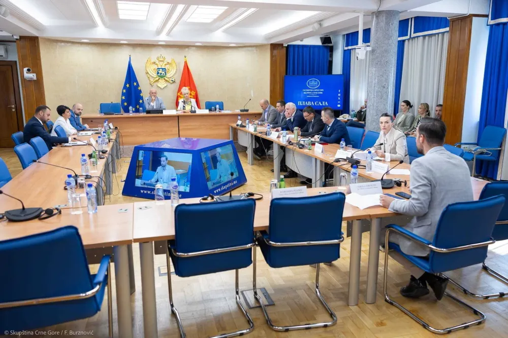 Odgođena sjednica Odbora, nijesu do&scaron;li Krapović i predstavnici većine