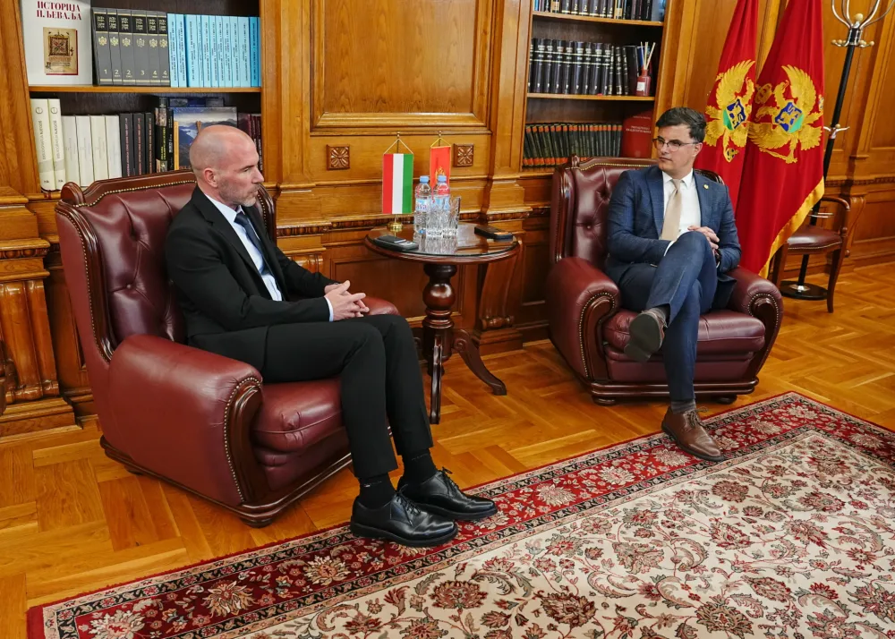 Danilo &Scaron;aranović i Peter Hetei