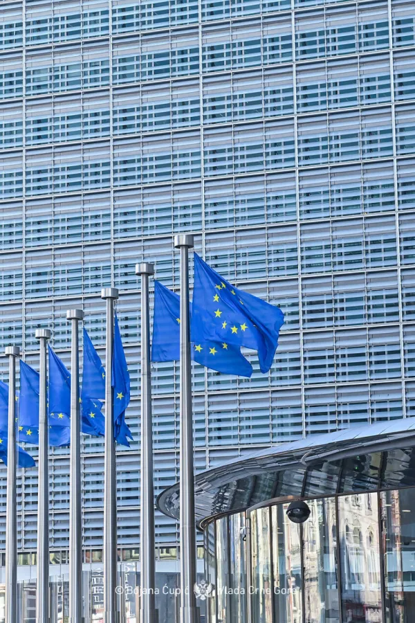 Geopolitička odmjeravanja snaga preko leđa Crne Gore: Za&scaron;titne klauzule ili puna dobrodo&scaron;lica?