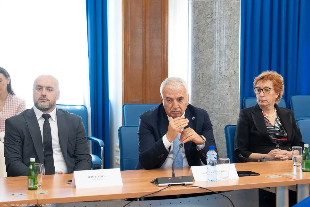 Odbor za ekonomiju predložio dva člana Fiskalnog savjeta: Birali da ih ne okrive za blokadu evropskog puta
