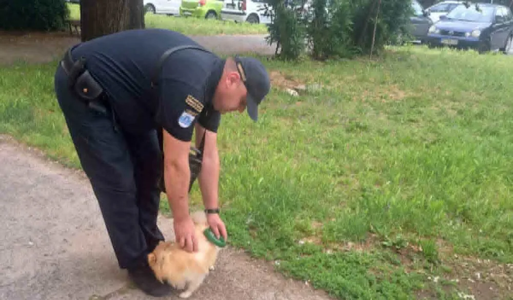 Načelnik Komunalne policije za "Dan": Kažnjeno 20 vlasnika kućnih ljubimaca