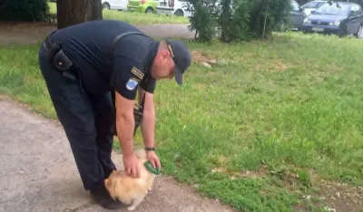 Načelnik Komunalne policije za "Dan": Kažnjeno 20 vlasnika kućnih ljubimaca