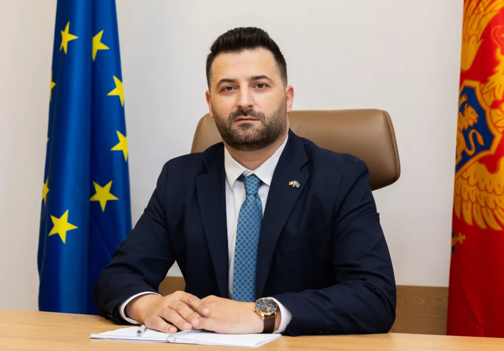 Monstat objavio publikaciju &bdquo;Statistički portret Crne Gore: 20 godina nezavisnosti&ldquo;