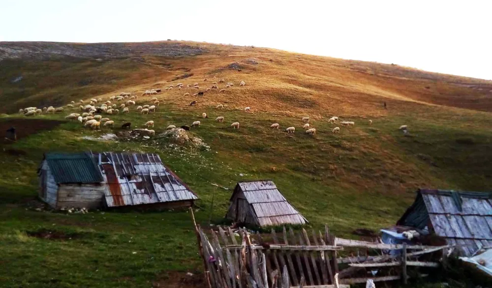 Berane: Pronađeno tijelo holandskog državljanina koji je juče nestao