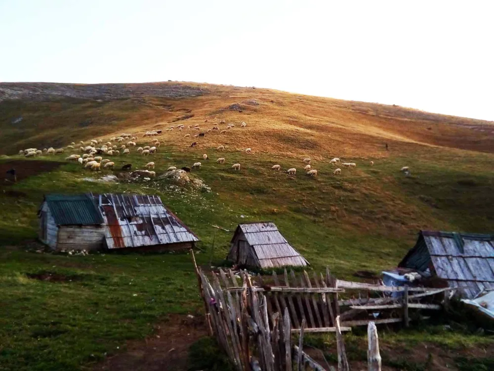Berane: Pronađeno tijelo holandskog državljanina koji je juče nestao