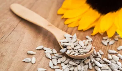 Nutricionisti otkrivaju prednosti sjemenki suncokreta