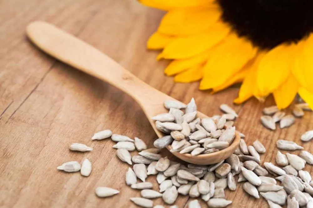 Nutricionisti otkrivaju prednosti sjemenki suncokreta