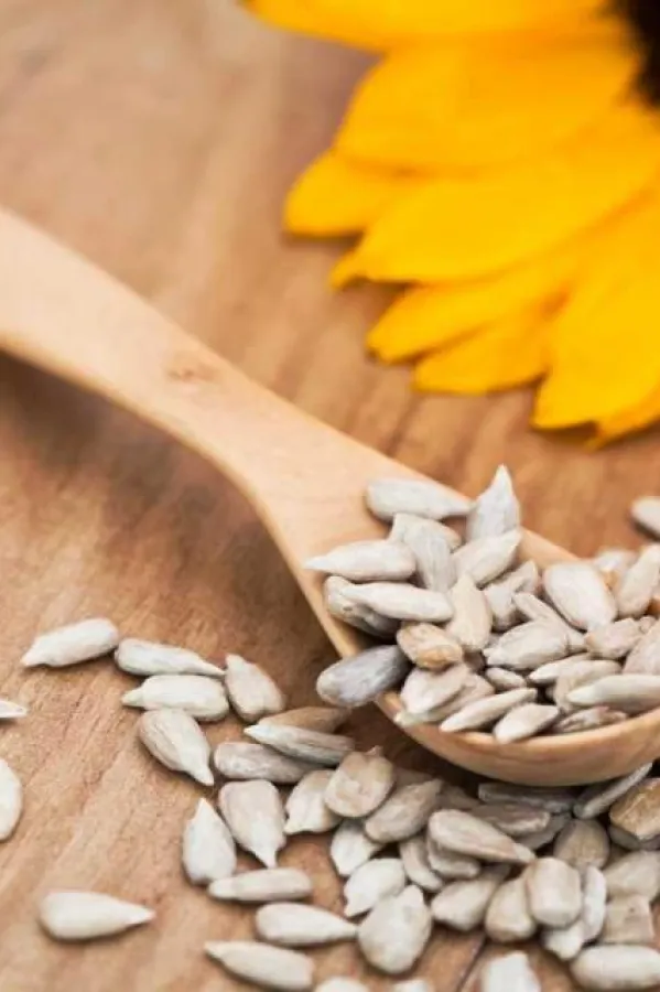 Nutricionisti otkrivaju prednosti sjemenki suncokreta