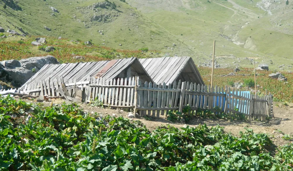 Prazni katuni ispod Komova: Stada sa planina preselila se u pro&scaron;lost