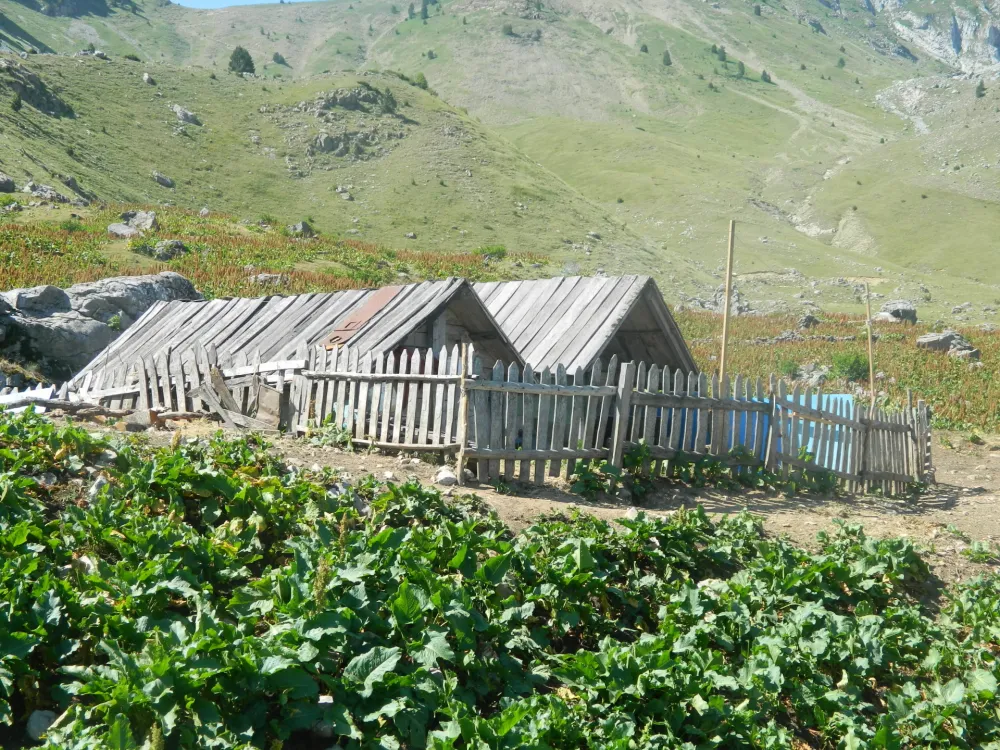 Prazni katuni ispod Komova: Stada sa planina preselila se u pro&scaron;lost